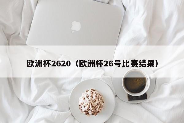 欧洲杯2620（欧洲杯26号比赛结果）