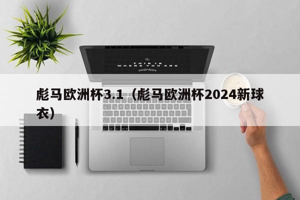 彪马欧洲杯3.1（彪马欧洲杯2024新球衣）