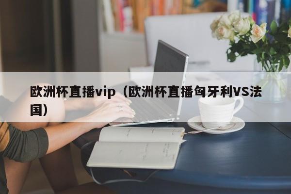 欧洲杯直播vip（欧洲杯直播匈牙利VS法国）