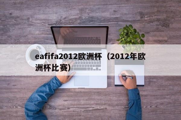 eafifa2012欧洲杯（2012年欧洲杯比赛）