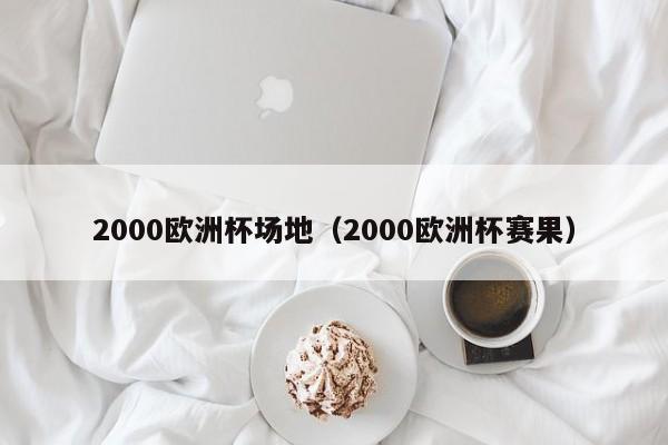 2000欧洲杯场地（2000欧洲杯赛果）