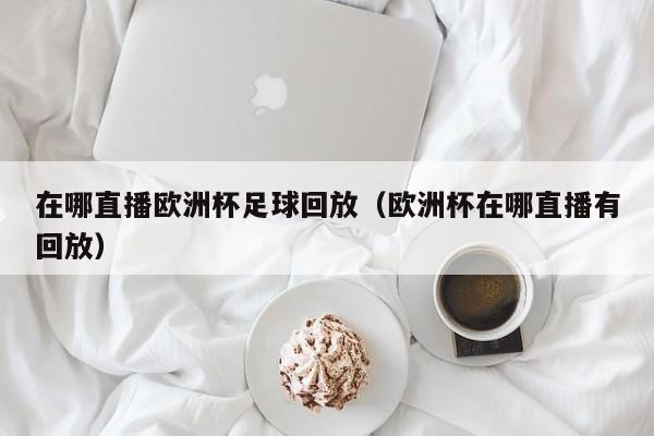 在哪直播欧洲杯足球回放（欧洲杯在哪直播有回放）