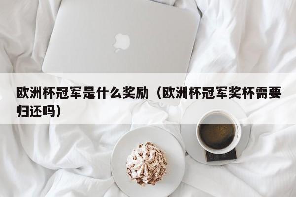 欧洲杯冠军是什么奖励（欧洲杯冠军奖杯需要归还吗）