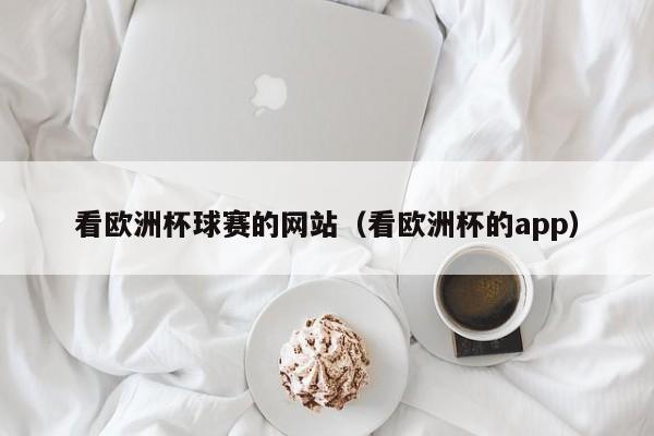 看欧洲杯球赛的网站（看欧洲杯的app）